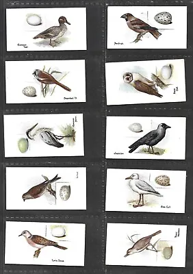1906 Lambert And Butler Birds Eggs Complete Your Set - Select The Cards You Need • £2.49