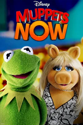 Muppets Now Animation Movie Painting Wall Art Home Decor - POSTER 20x30 • $23.99