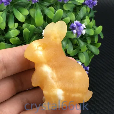 2 + Natural Yellow Geodes Rabbit Carved Quartz Crystal Skull Healing 1PC • £22.80