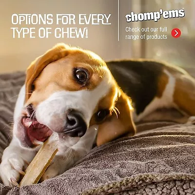 Ruffin' It Chomp 'ems Five Flavor Kabobs Dog Treats - 24 Ct • $24.99