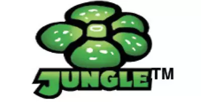 $2 • Buy ORIGINAL 1999 Pokemon JUNGLE Set TCG - Individual Pokemon Cards Pick And Choose
