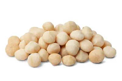 Premium Salted Macadamia Nuts - Fresh & Delicious ~3lb BAG ~BEST PRICE • $33.29