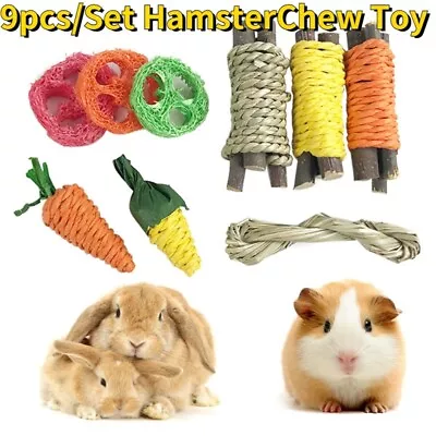 9Pcs Chew Toys Set For Rabbit Small Animal Teeth Care And Exercise Natural Wood • £6.42