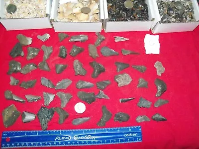 100 Fossil Shark Teeth Per Lot.  Megalodon Dinosaur Lite Brown Grey Stingray • $36