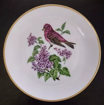 Alboth Kaiser Porcelain Plate  Vogel  Bird Floral 7.75  Plate • $17.75