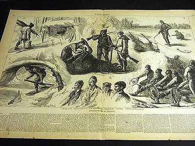 Sydney Hll MOOSE HUNTING CANADA Fish Skinning Cow 1881 Large Folio Print W STORY • $30