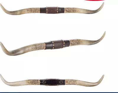 Western Americana Steer Horn Large Rustic Studded Longhorn Wall Decor Resin New • $60.85