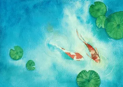 A3| Pretty Koi Carp  Poster Size A3 Fish Pond Japan Japanese Poster Gift #16426 • £8.99