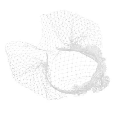 Unique Exquisite Veil Headband Mesh Veil Headband For Party • $8.91