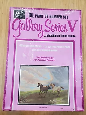 Craft Master Gallery Series V Oil Paint By Number Set • $40