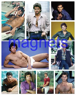 LORENZO LAMAS #1BARECHESTEDSHIRTLESSfalcon Crest10pc MAGNET SET • £12.05