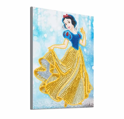 $18.95 • Buy AU Seller 5D Crystal Diamond Painting Partial Kit - Disney Princess Snow White