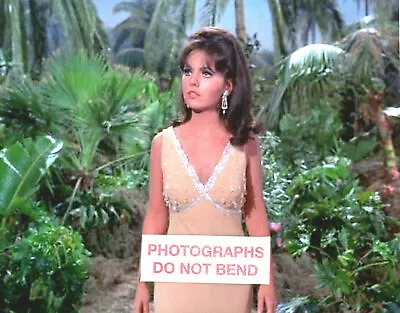 8x10 Photo Dawn Wells Pretty Sexy  Gilligans Island  TV Star 1965 • $14.45