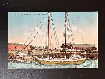 Vintage Postcard Shipping Scene Petaluma California • $8.55