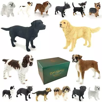 Leonardo Collection Dog Studies Standing Ornament Figurine Realistic Boxed Gift • £9.60