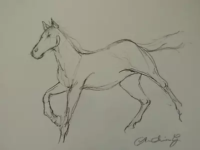 Original Signed Pencil Drawing Sketch On Ivory Paper Of A Horse Galloping • £29.99