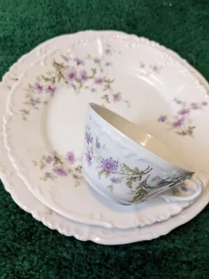 Habsburg Austria Purple Daisy Flowers 3pc Dinner See All China Listed 4 Combship • $17.95