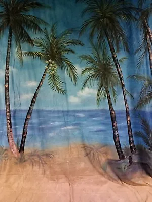 10x20 Foot Painted Huayi Scenics Photography Palm Tree Backdrop  Muslin Cotton • $69.99