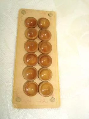 12 Vintage Antique Tan Vegetable Ivory Buttons On Card 7/16 In. • $8