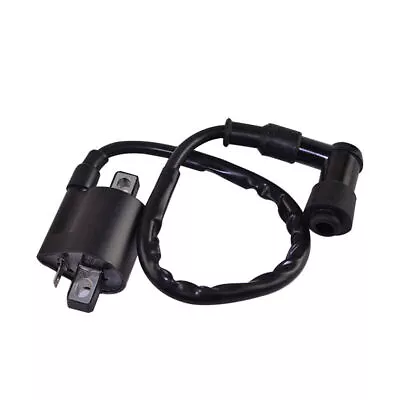 Ignition Coil For 125cc 150cc 250cc Chinese Taotao ATV Dirt Bike Moped Scooter • $10.13