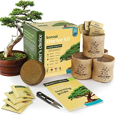 Bonsai Starter Kit - Gardening Gift For Women & Men - Bonsai Tree Growing Garden • £34.50