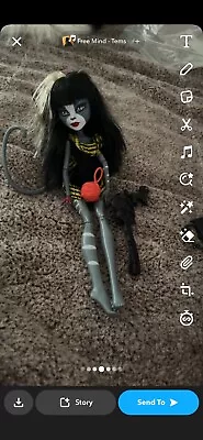 Monster High Meowlody Werecat Grey Skin Doll • $37.66