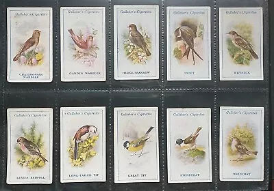 Gallaher British Birds By George Rankin 1923 Full Set 100 Cigarette Cards. • £48