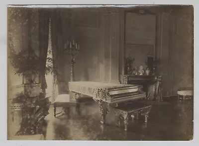 Vintage 1903 Theodore Roosevelt Gold Steinway Piano White House East Room Photo • $19.97