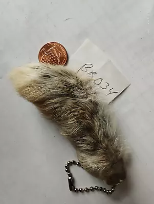 Real Natural Lucky Rabbit Foot Keychain With Nails Multi Color Brown Greys Bunny • $12.99