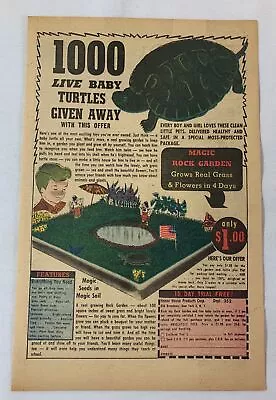 1953 Ad Page ~ 1000 LIVE BABY TURTLES • $8.99