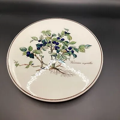 Vintage Villeroy & Boch Porcelain Lid 8” Cir. To A Trinket Box (no Box) • $9