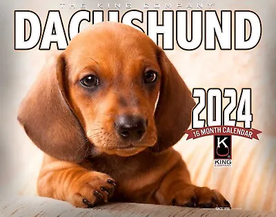 2024 Dachshund Wall Calendar-The KING Company (FREE SHIPPING) • $14.99