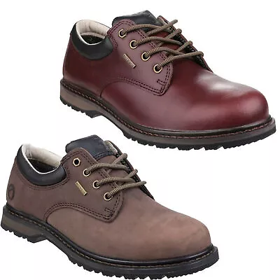 Mens Cotswold Stonesfield Waterproof Leather Hiking Walking Shoes Sizes 7 To 12 • £59.99