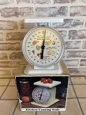 Vintage White Metal & Plastic  American Family Kitchen Scale 25 LBS Country Farm • $20.25