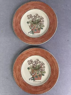 Wedgwood Sarah’s Garden Queen’s Ware 21cm Plates X 2 Primula T2998 • £10