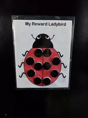 Magnetic Children's Re-usable Reward Chart  - Ladybird • £4