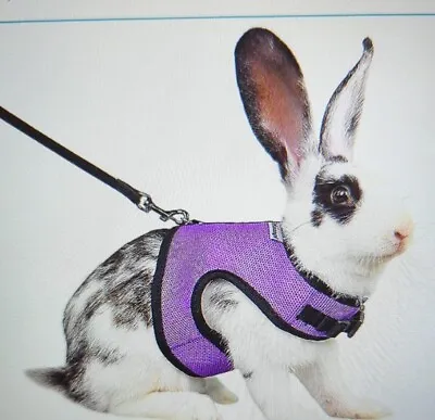 Niteangel Adjustable Soft Harness With Leash Hook For Rabbits (M Purple) • $5.90