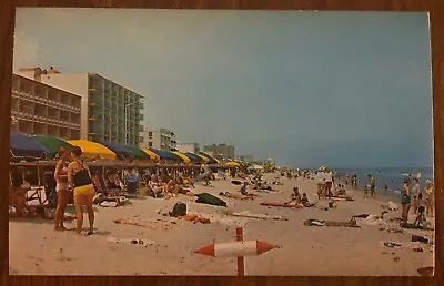 Beach And Hotels On Virginia Beach Virginia VA Ocean Front Scene Postcard UNP • $4