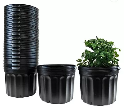 3 Gallon Plastic Nursery Pot • $12