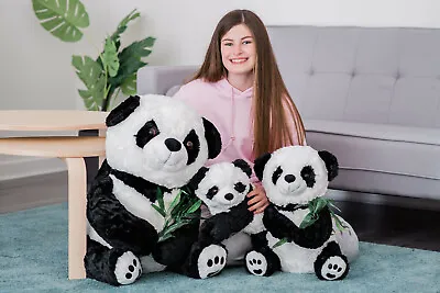 Valentines Day Large Enormous Teddy Bear Stuffed Cuddly Plush Soft Panda Cute • £29.95