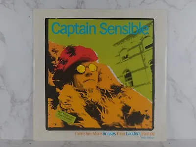 Captain Sensible – There Are More Snakes Than Ladders (Remix)  Vinyl 12  45 RPM • £4.32