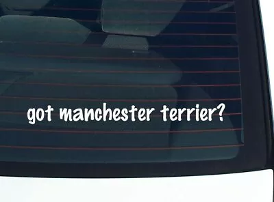 Got Manchester Terrier? CAR DECAL BUMPER STICKER VINYL FUNNY JOKE WINDOW • $3.97