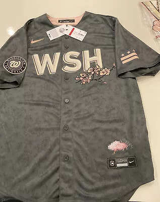 Washington Nationals 2022 City Connect Team Jersey NEW • $159