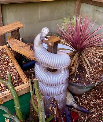 £9.42 • Buy PET RABBIT FERRET RAT MOUSE HAMSTER Flexible Ducting Hose Connector Run Pipe