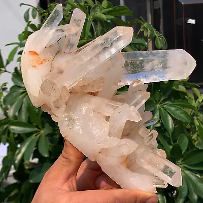 2.56LB A+++Large Natural White Crystal Himalayan Quartz Cluster /mineralsls • $0.99