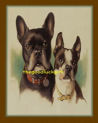 Vintage 1890's BOSTON TERRIER Dogs 8x10 Postcard Art Print • $14.99