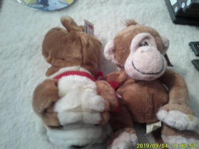 £1.99 • Buy 2 Keel Toys Soft Toy Dog And Monkey