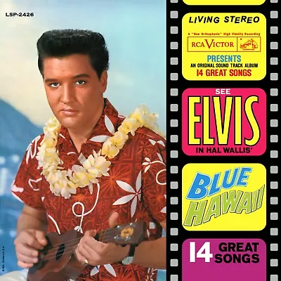 ELVIS PRESLEY Blue Hawaii BANNER 2x2 Ft Fabric Poster Tapestry Flag Album Art • $19.95