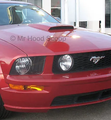 PAINTED Ford Mustang GT Hood Scoop California Special W/ Honey Comb Grille HS008 • $235