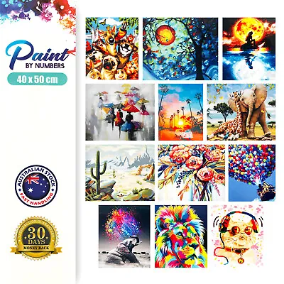 Large Paint By Numbers Kit Frameless Canvas DIY Oil Acrylic Painting 40 X 50cm • $11.95